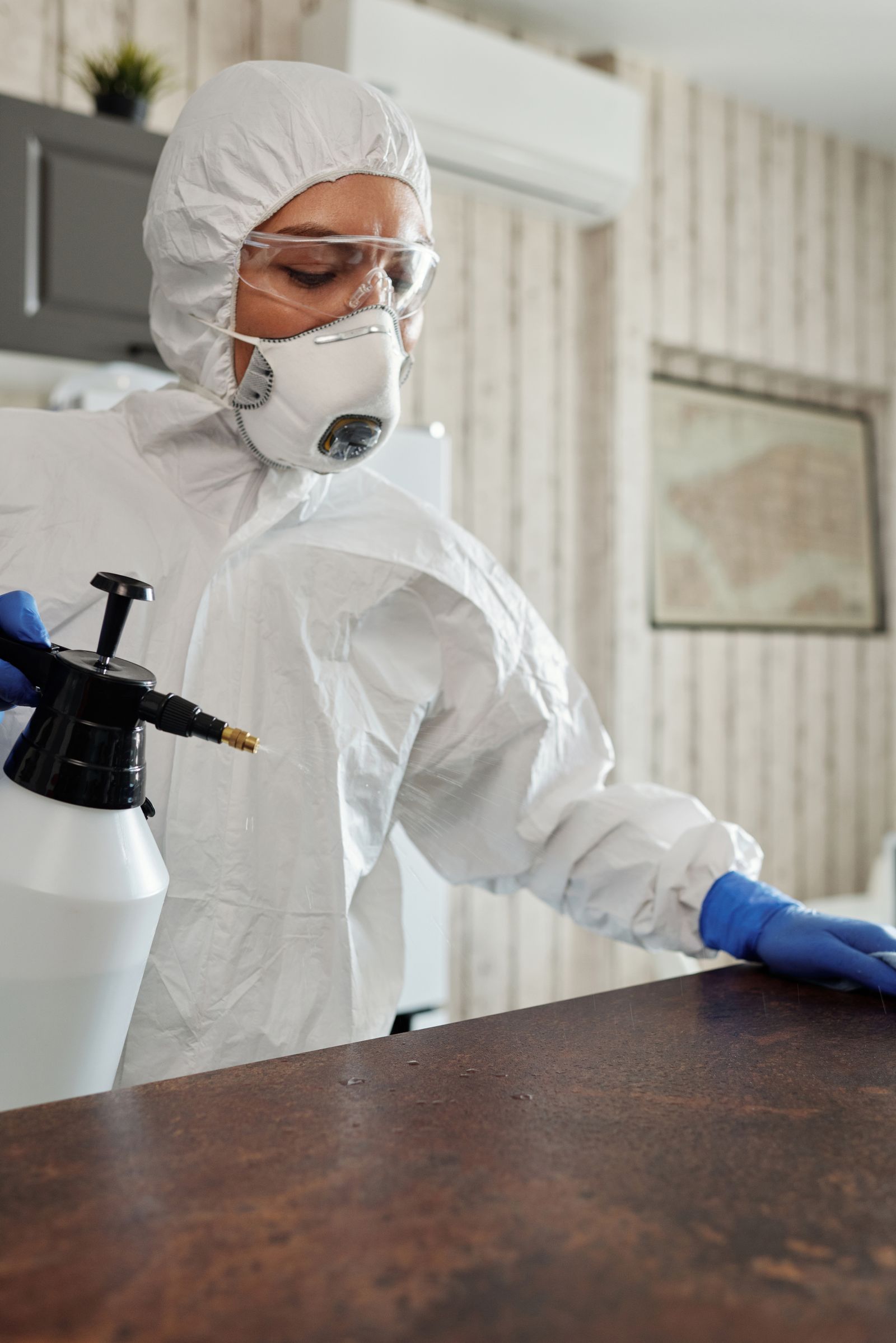 Aplicação profissional de controle de pragas em ambiente interno